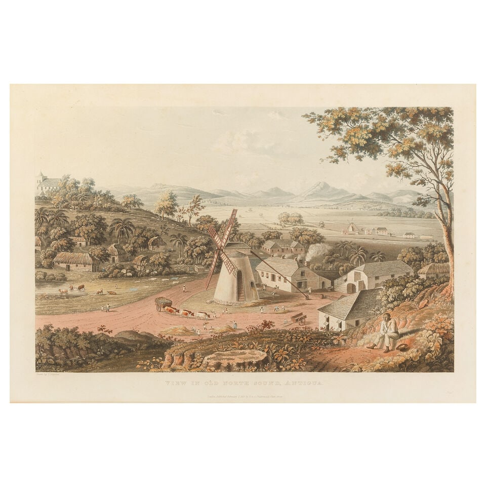 Theodore Henry Adolphus Fielding (British, 1781-1851), After J. Johnson Views in the West Indes,... - 5