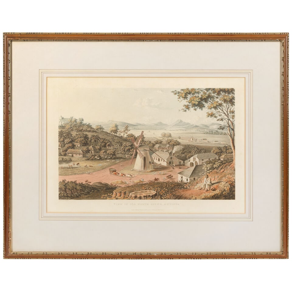 Theodore Henry Adolphus Fielding (British, 1781-1851), After J. Johnson Views in the West Indes,... - 9