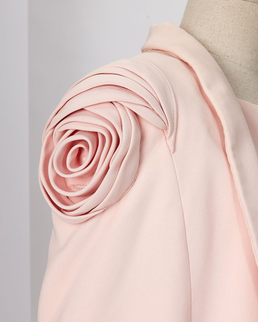 Ralph & Russo Haute Couture: Pale Pink Silk Wool Pencil Dress and Cape Spring/Summer 2014, Runwa - 2