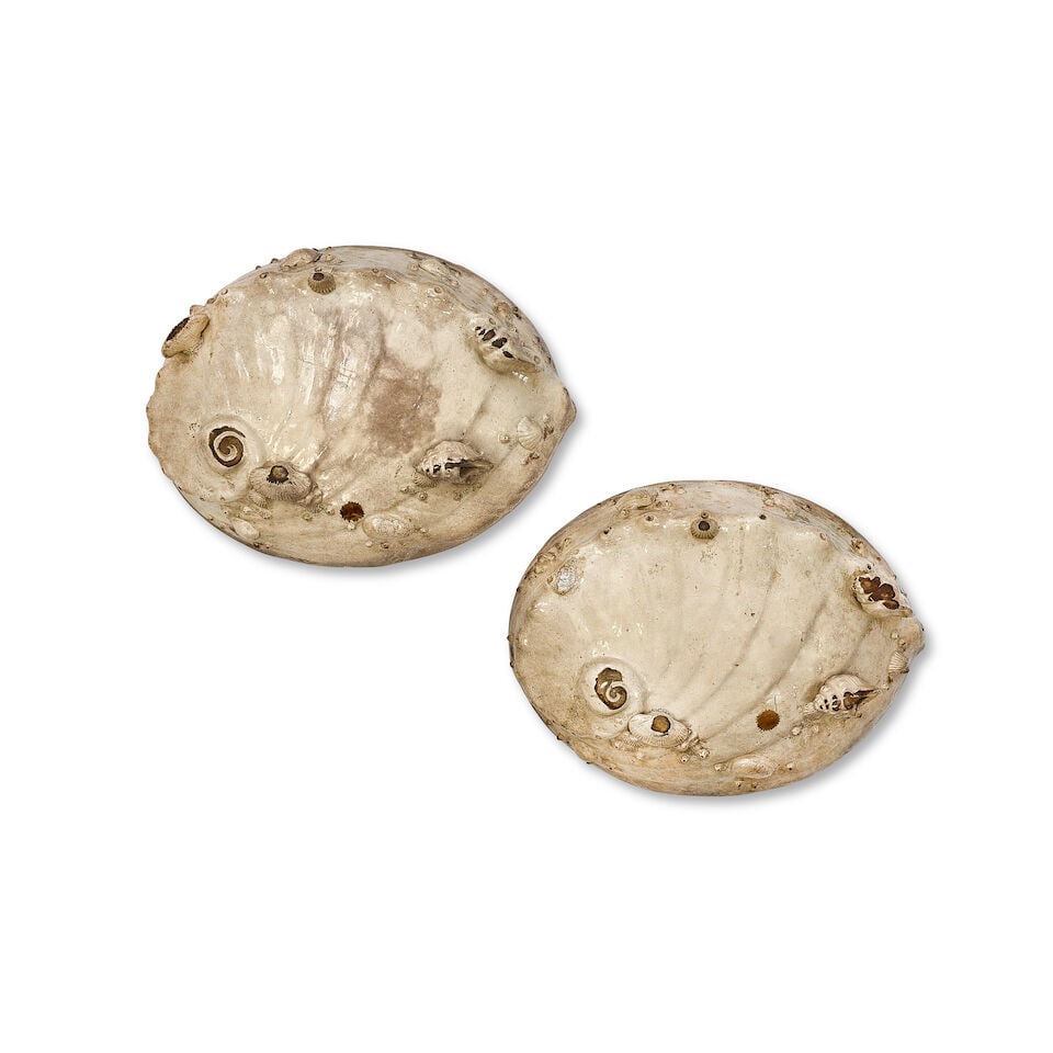 A pair of large Japanese Satsuma earthenware shell-form dishes Late Meiji period (1868-1912) or ... - 2