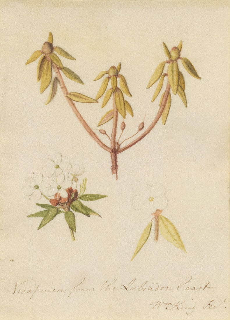 William King (British, active mid - late 18th Century) 'Visapucca from the Labrador Coast' the l... - 3