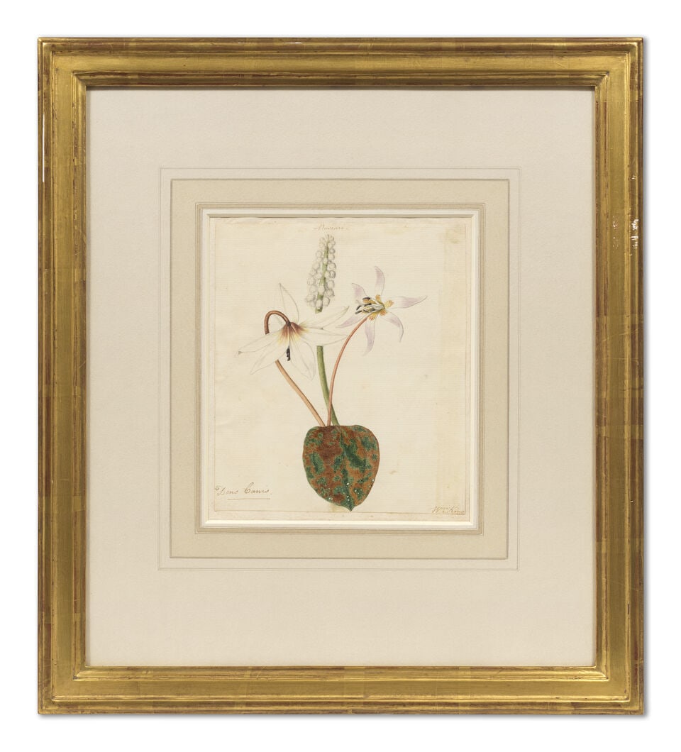 William King (British, active mid - late 18th Century) 'Visapucca from the Labrador Coast' the l... - 4