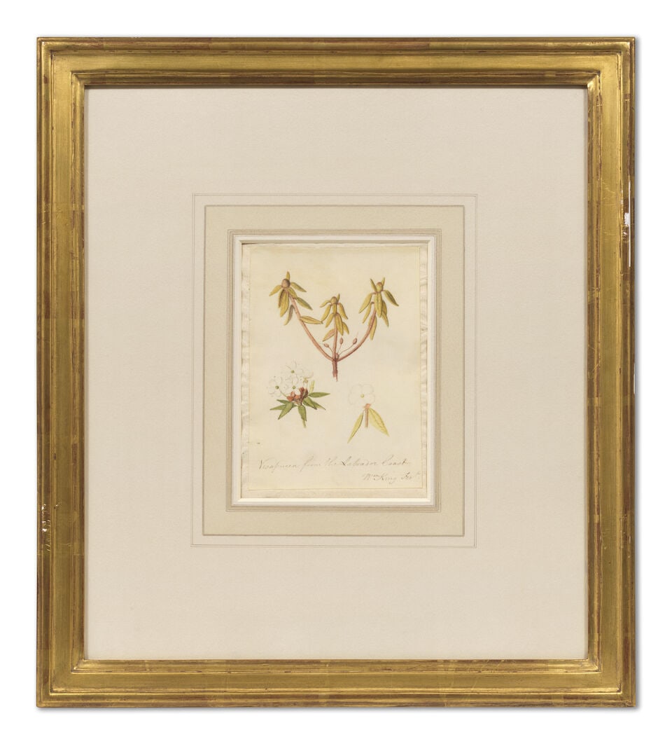 William King (British, active mid - late 18th Century) 'Visapucca from the Labrador Coast' the l... - 6