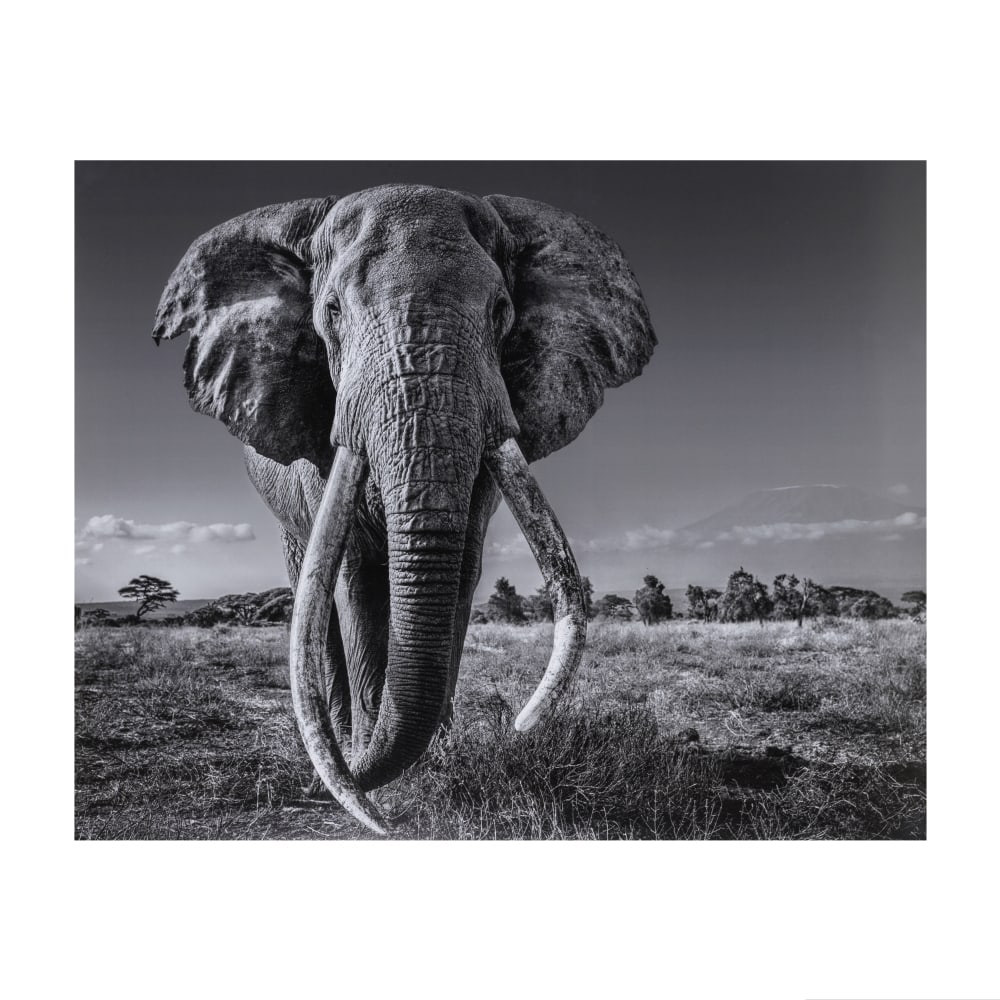 DAVID YARROW (NE EN 1966) Space for Giant, 2020 Tirage pigmentaireSignature et numérotation... (1 of 1)