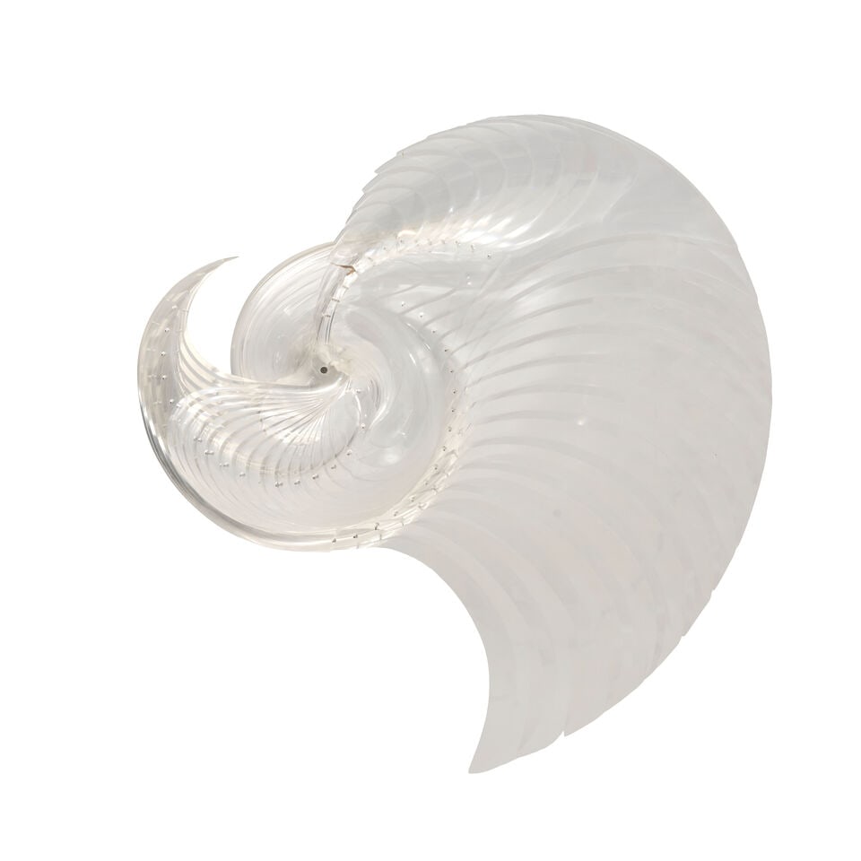 WILLIAM REIMANN (BORN 1935) 'SEA CREATURE, TRANSPARENT' Cambridge, Massachusetts, 1971-1973, Ple... - 3