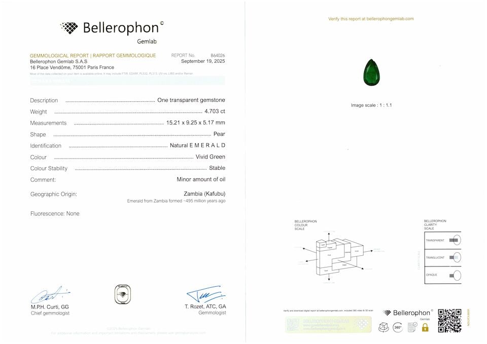 PAIR OF EMERALD, COLOURED DIAMOND AND DIAMOND PENDENT EARRINGS - 4