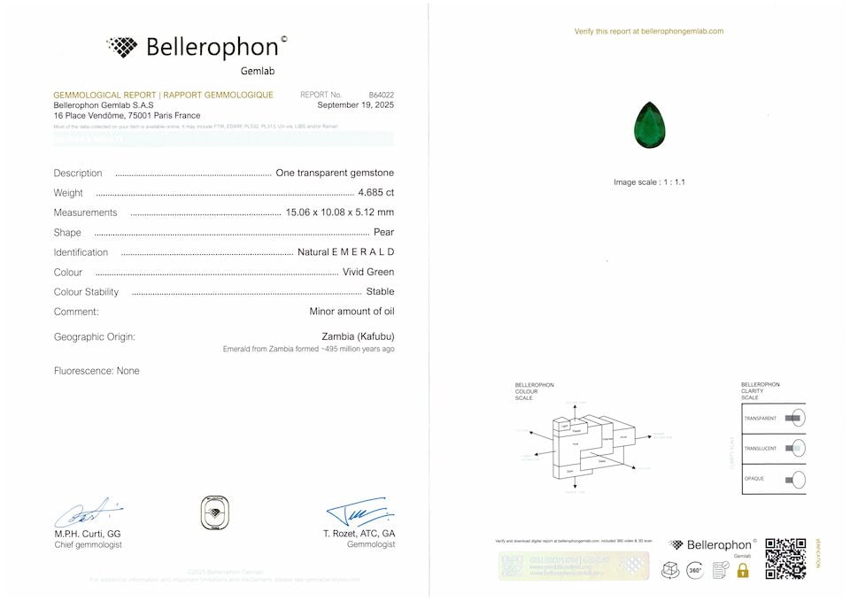 PAIR OF EMERALD, COLOURED DIAMOND AND DIAMOND PENDENT EARRINGS - 5