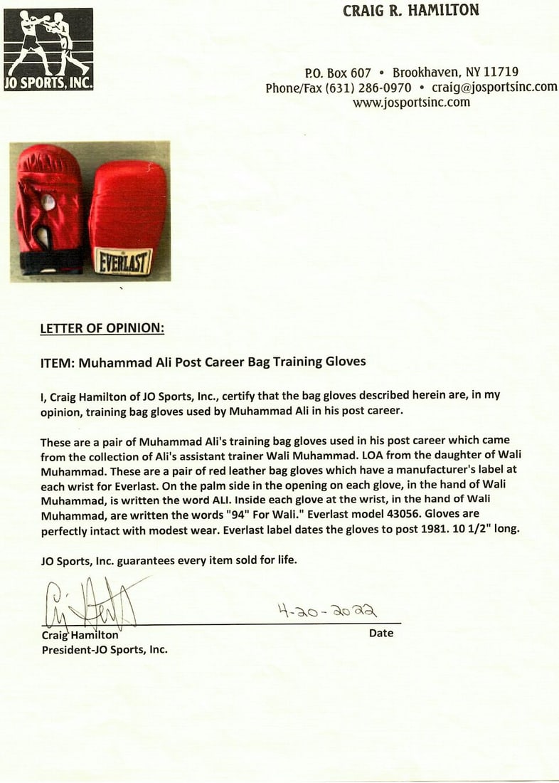 Muhammad Ali post-career training gloves - 3