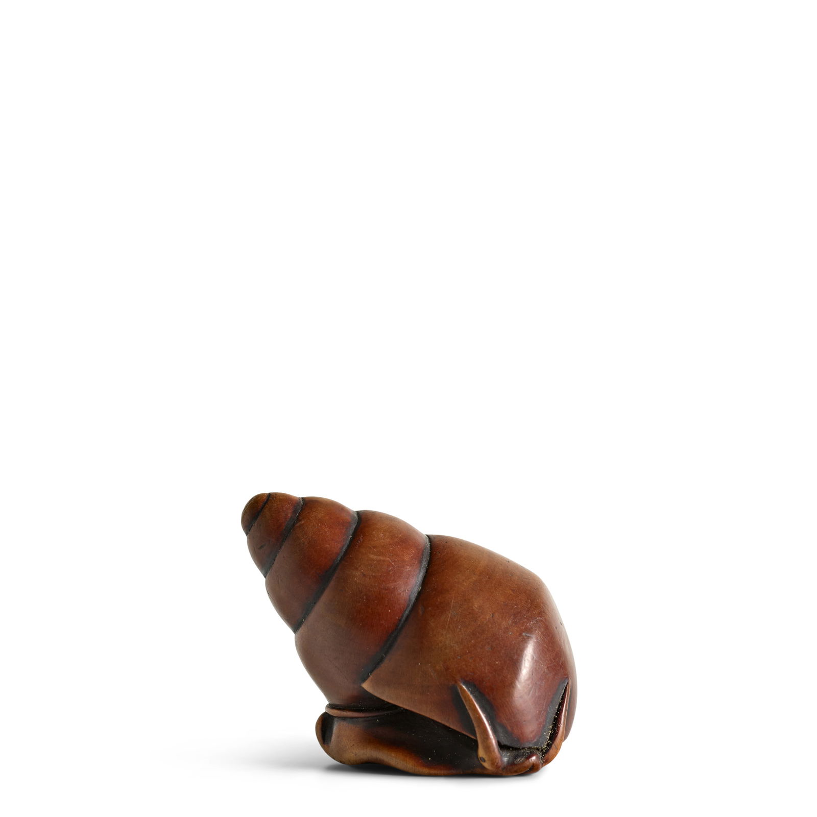 MASANAO OF KYOTO (ACTIVE SECOND HALF OF THE 18TH CENTURY) A Rare Wood Netsuke of a Baigai (Japan...: MASANAO OF KYOTO (ACTIVE SECOND HALF OF THE 18TH CENTURY) A Rare Wood Netsuke of a Baigai (Japanese Babylon Sea Snail) Edo period (1615-1868), 18th century Carved in boxwood as a mobile sea snail, the