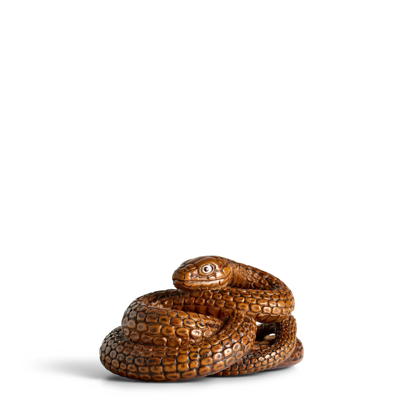 TANAKA MINKŌ (1735-1816) A Fine and Large Wood Netsuke of a Snake Edo period (1615-1868), 1...: TANAKA MINKŌ (1735-1816) A Fine and Large Wood Netsuke of a Snake Edo period (1615-1868), 18th century Carved as a large coiled snake, decorated with dark stain to enhance the snake's markings, t