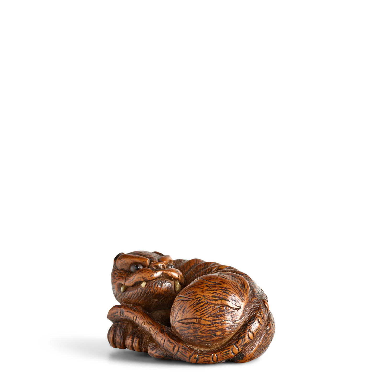MINZAN (ACTIVE 18TH CENTURY) A Large Wood Netsuke of a Tiger Edo period (1615-1868), 18th/19th c...: MINZAN (ACTIVE 18TH CENTURY) A Large Wood Netsuke of a Tiger Edo period (1615-1868), 18th/19th century Carved as a recumbent tiger with a large head turned and looking back over his left flank with hi
