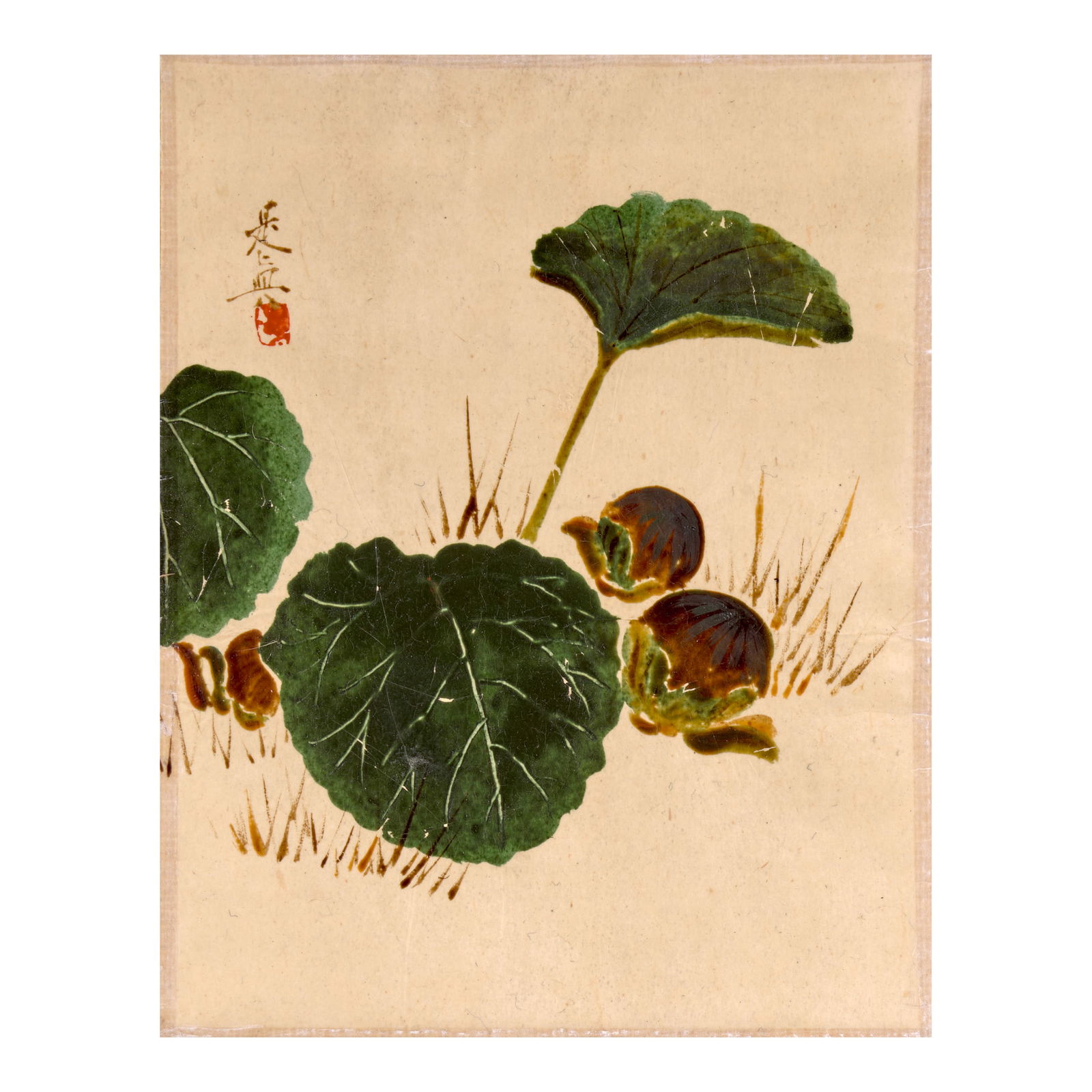 SHIBATA ZESHIN (1807-1891) Eggplants and Butterbur Meiji era (1868-1912), circa 1880s: SHIBATA ZESHIN (1807-1891) Eggplants and Butterbur Meiji era (1868-1912), circa 1880s A small album leaf mounted as a hanging scroll, painted in colored lacquer on paper (urushi-e) with eggplants, but