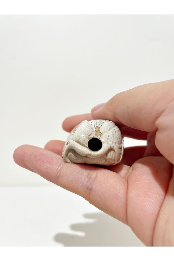 A FOSSILISED WOOD 'MELON' SNUFF BOTTLE 19th century - 2