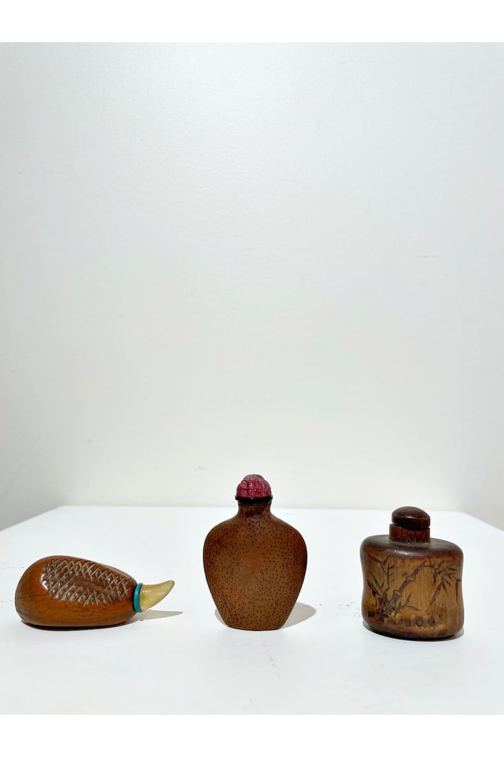TWO BAMBOO SNUFF BOTTLES AND A GOURD SNUFF BOTTLE 19th century (3) - 8