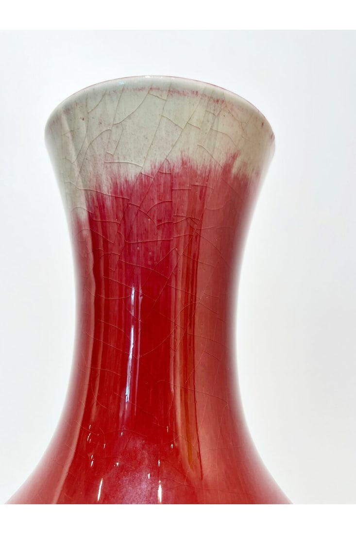 A SANG DE BOEUF GLAZED VASE 19th century - 4