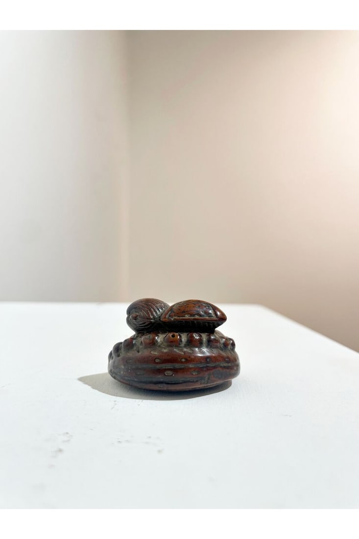 THREE BOXWOOD NETSUKE OF VEGETABLES AND OYSTERS 19th century (3) - 14