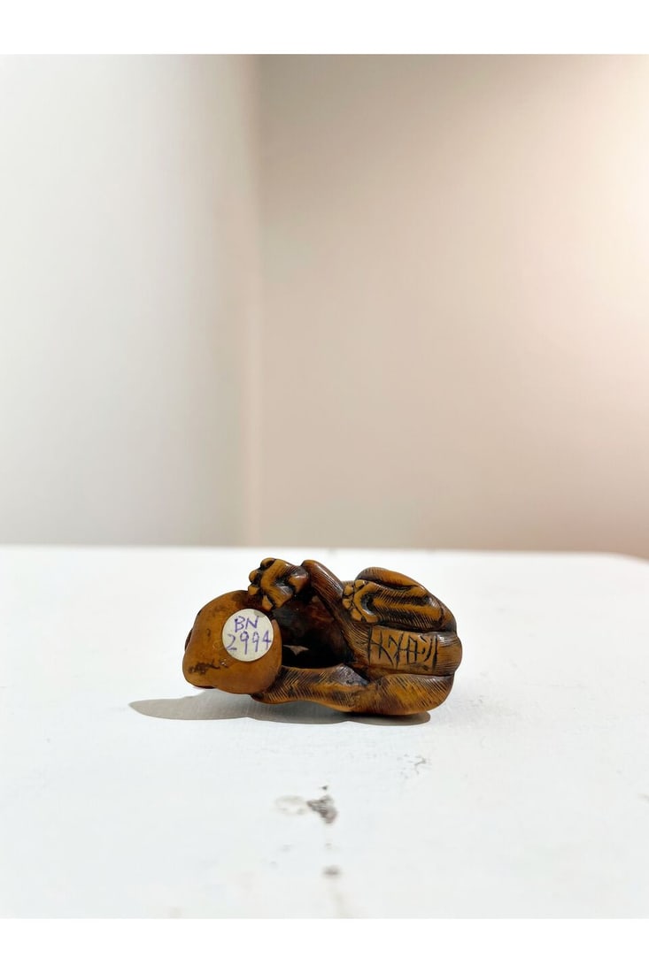 A BOXWOOD NETSUKE OF A WOLF WITH A CLAM Signed Tomotada [友忠], 19th century - 2