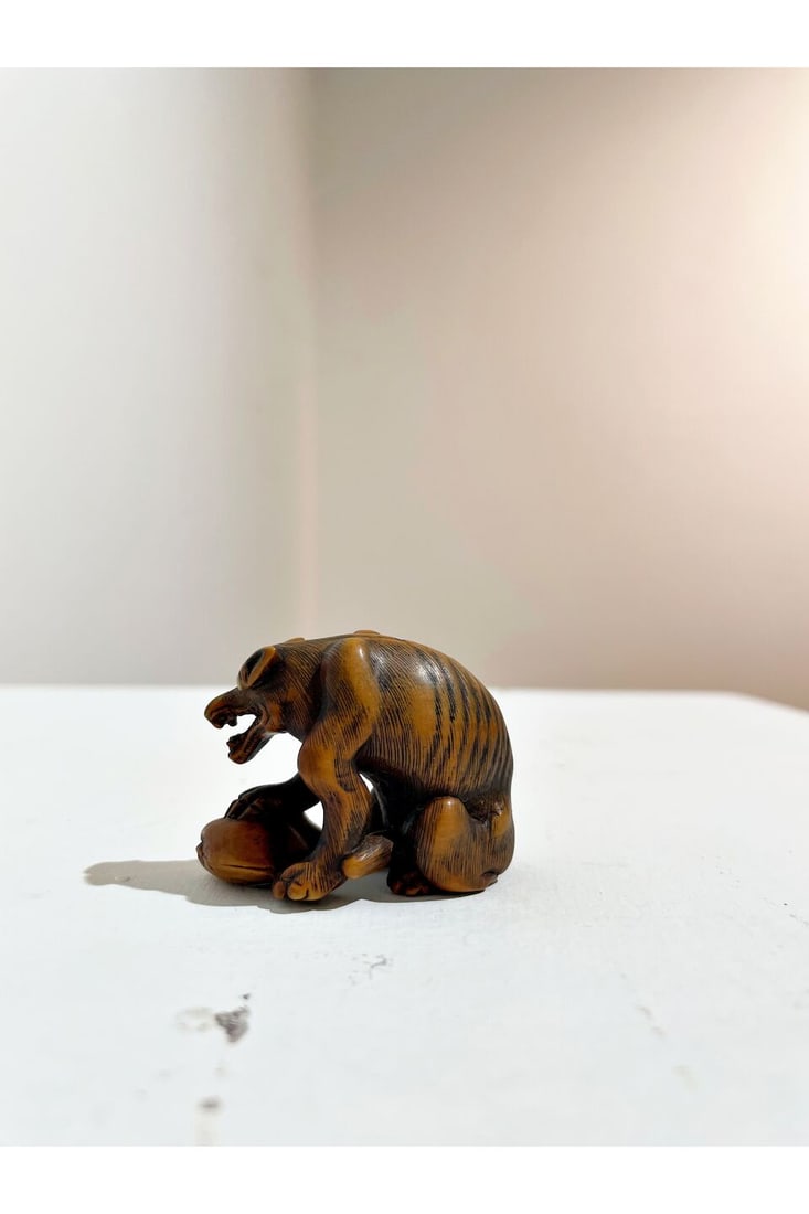 A BOXWOOD NETSUKE OF A WOLF WITH A CLAM Signed Tomotada [友忠], 19th century - 6