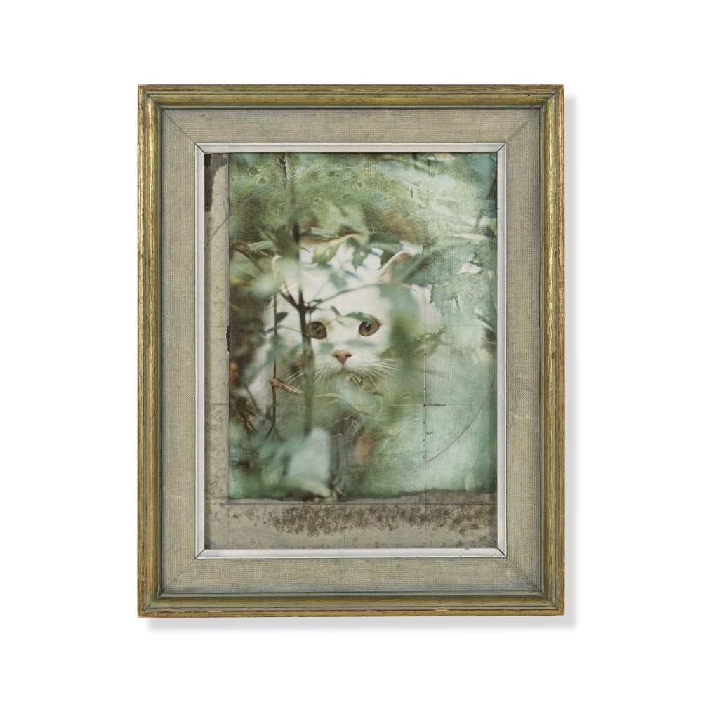 JOSEPH CORNELL (1903-1972) The Sylph (1 of 1)