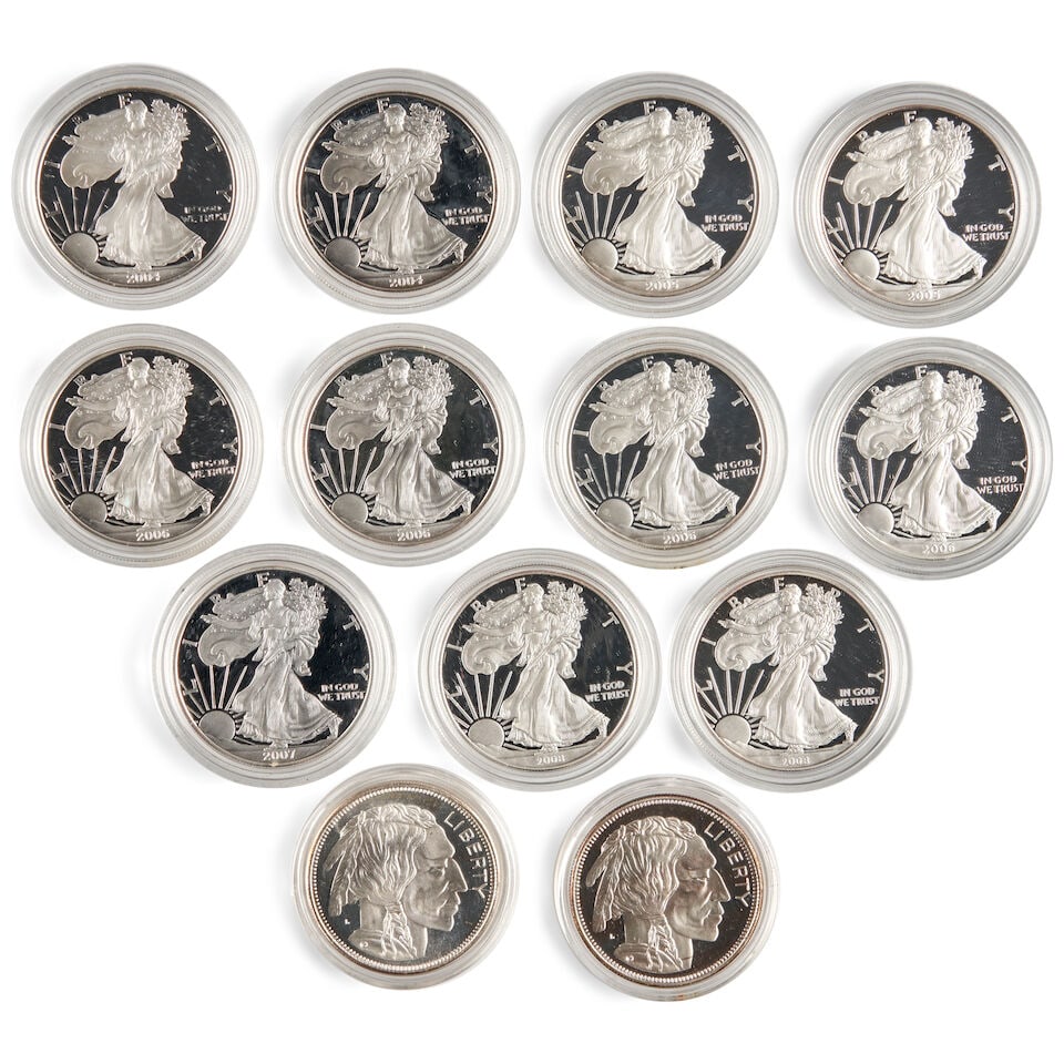 ELEVEN UNITED STATES SILVER EAGLE 1-OUNCE PROOF BULLION COINS AND TWO OTHER 1-OUNCE SILVER BULLI... (1 of 2)