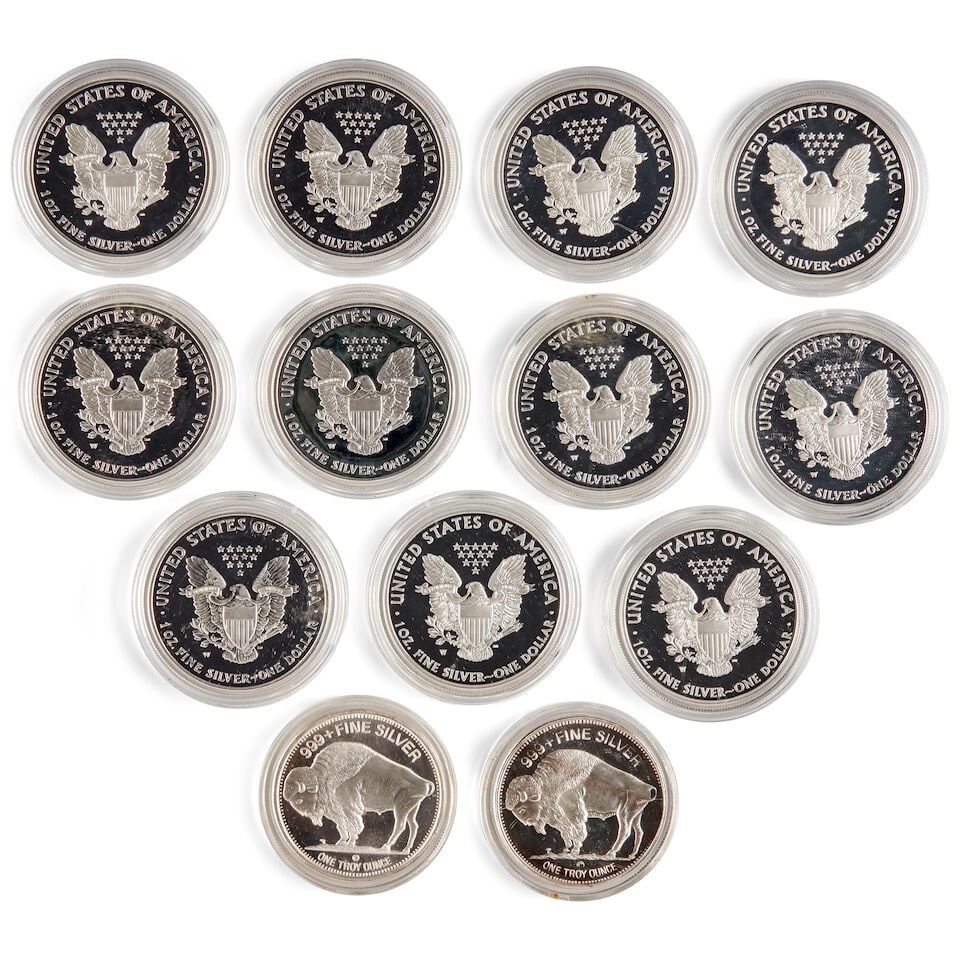 ELEVEN UNITED STATES SILVER EAGLE 1-OUNCE PROOF BULLION COINS AND TWO OTHER 1-OUNCE SILVER BULLI... - 2