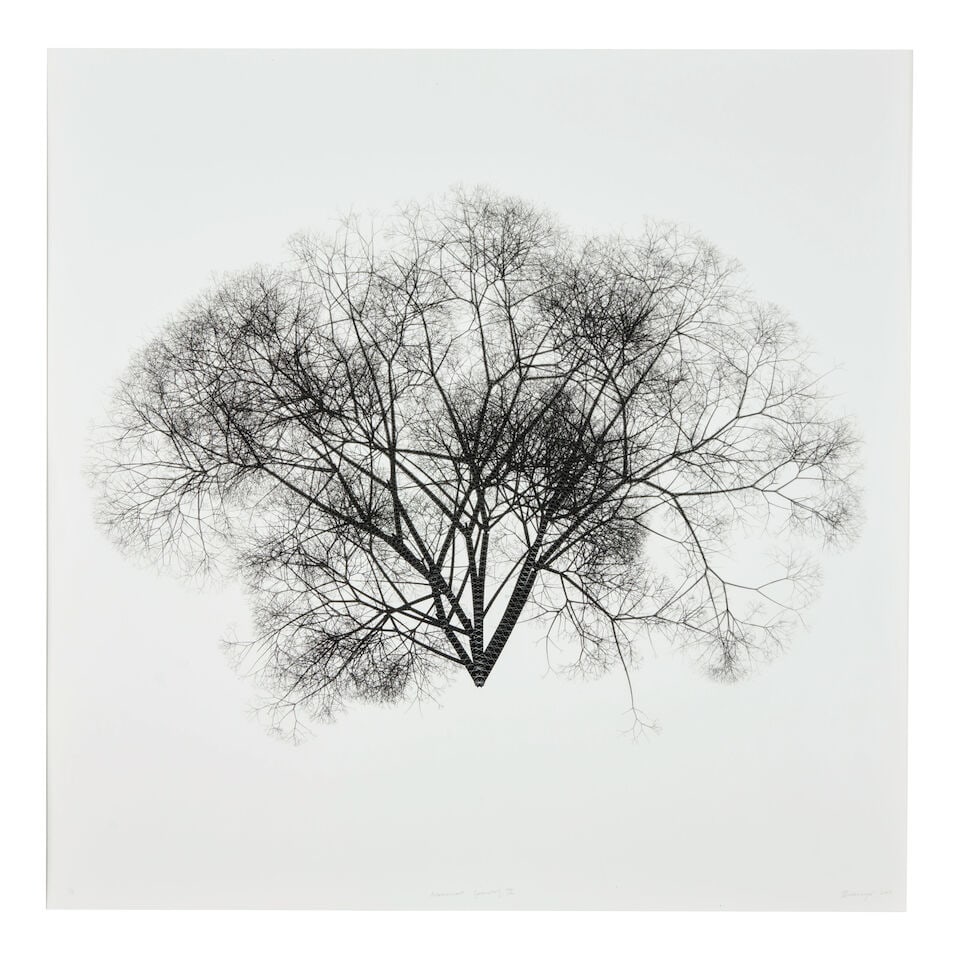 Stefanus Rademeyer (South Africa, b.1976) Arborescent Geometry II, 2010: Stefanus Rademeyer (South Africa, b.1976) Arborescent Geometry II, 2010 pigment ink on cotton paper, signed 'SRademeyer' and dated 2010 (lower right), framed, sheet size 23 1/2 x 23 1/2, frame size