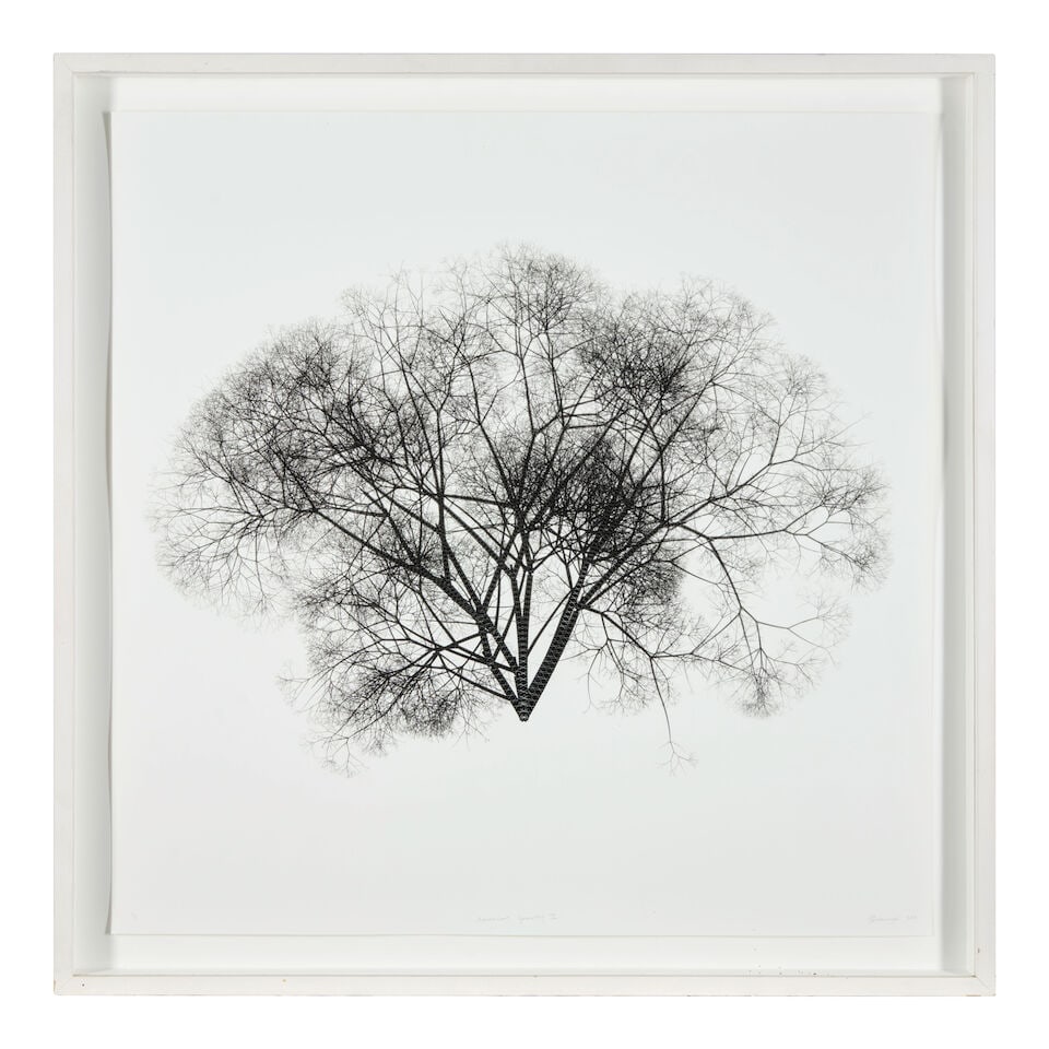 Stefanus Rademeyer (South Africa, b.1976) Arborescent Geometry II, 2010 - 3