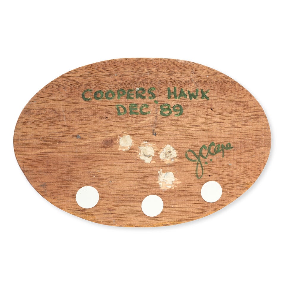 Chris Cape (born 20th Century) Cooper's Hawk 12 1/4 in. high affixed to a 3/4 in. high wood base - 2