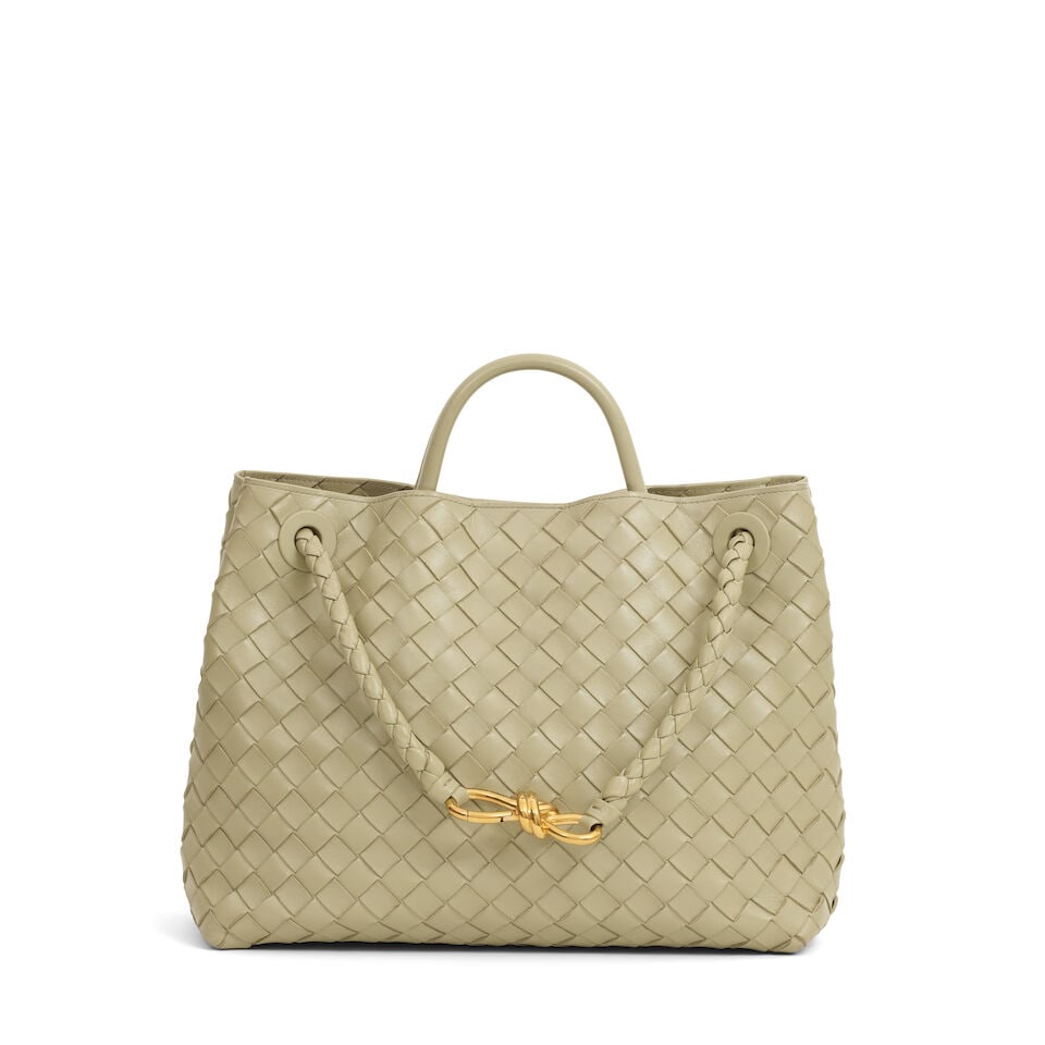 Bottega Veneta: a Travertine Medium Andiamo Tote (includes booklet) (1 of 4)