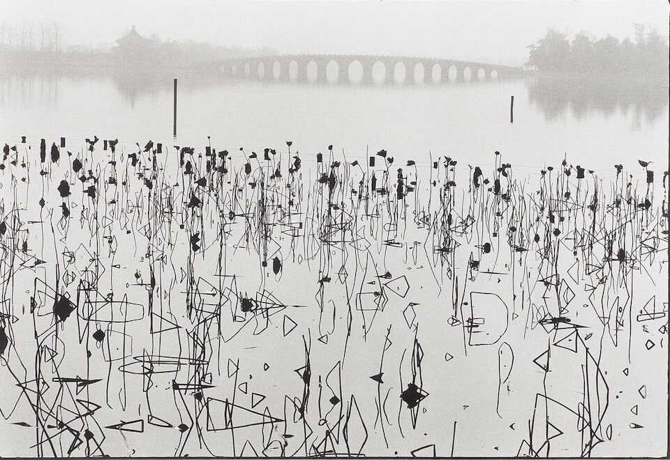 Rene Burri 'Wilted Lotus Blossoms former Summer Palace, Kunming Lake, Beijing, China', 1964 - 2