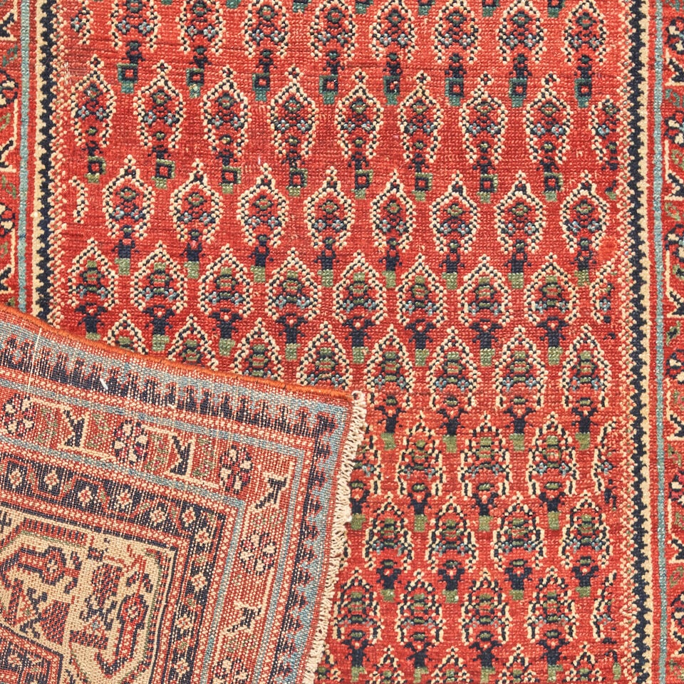 Seraband Rug 4 ft. 3 in. x 5 ft. 6 in. - 2