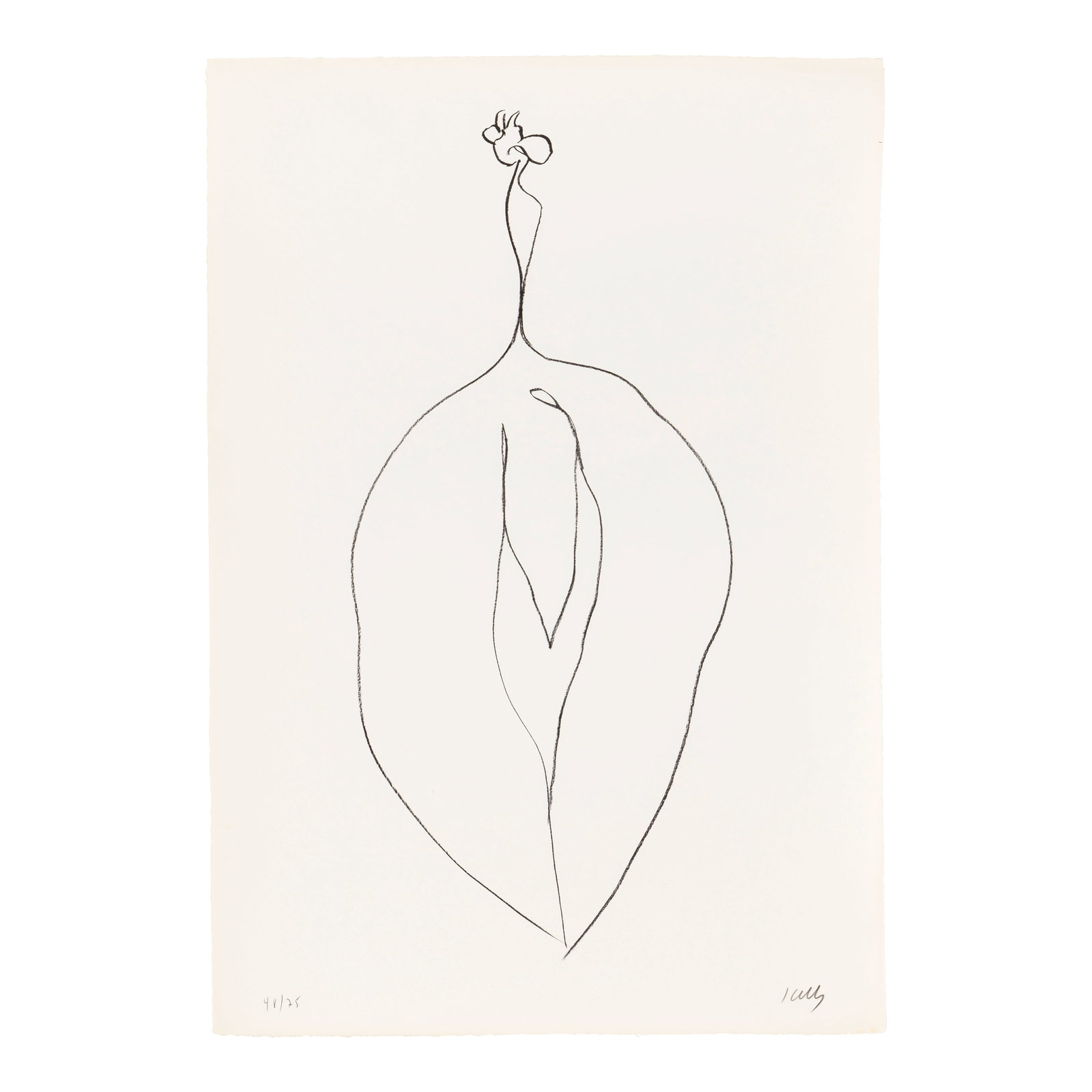 Ellsworth Kelly (1923-2015); Seaweed (Algue), from Suite of Plant Lithographs;: Ellsworth Kelly (1923-2015) Seaweed (Algue), from Suite of Plant Lithographs (Axsom 53), 1965-66 Lithograph on Rives BFK paper, signed in pencil and numbered 48/75 (there were also 10 artist's proofs)