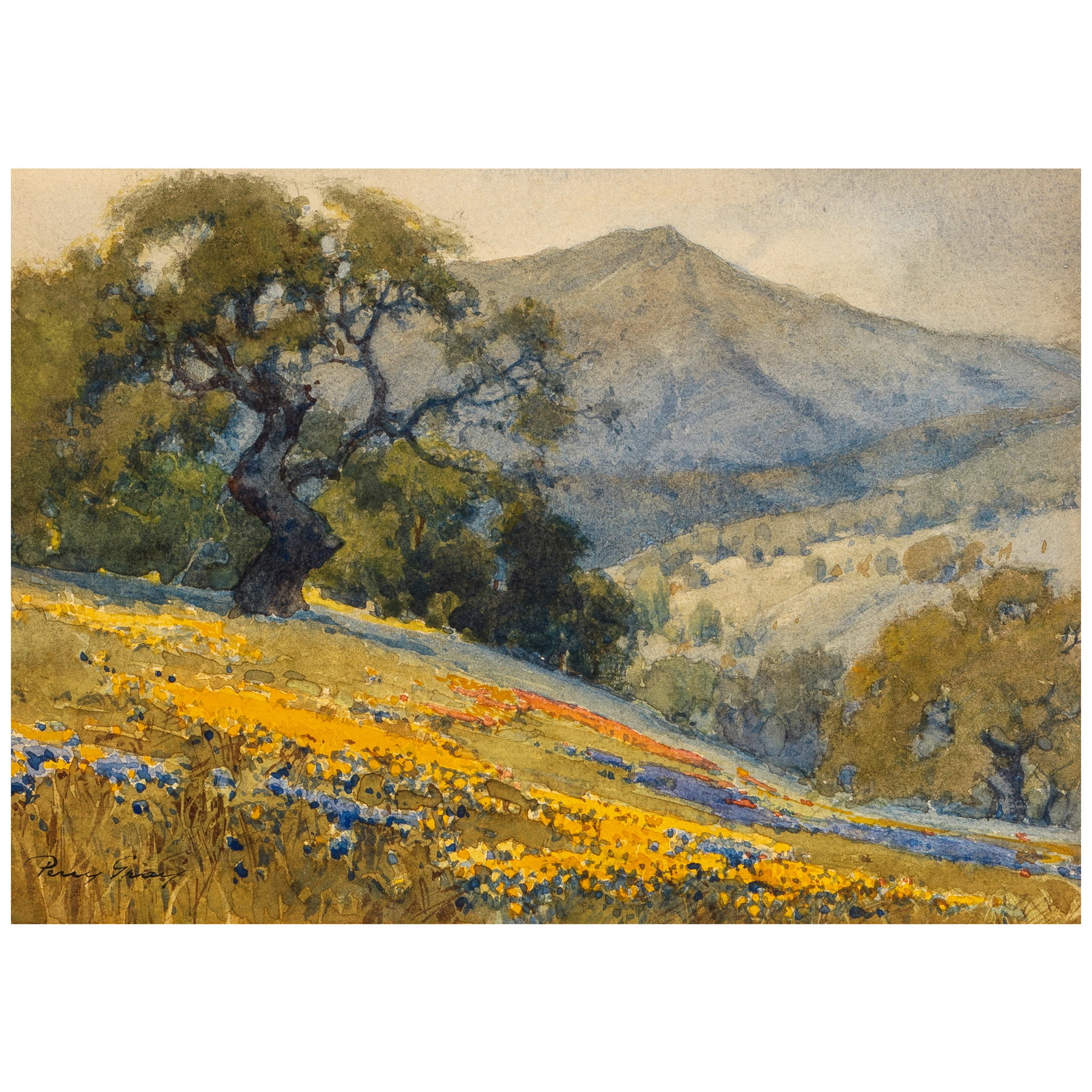 PERCY GRAY (1869-1952) Oaks and Color sight 6 x 8 3/4 in.: PERCY GRAY (1869-1952) Oaks and Color signed 'Percy Gray' (lower left) watercolor on paper sight 6 x 8 3/4 in. Footnotes: Provenance The Redfern Gallery, Laguna Beach, California. Private