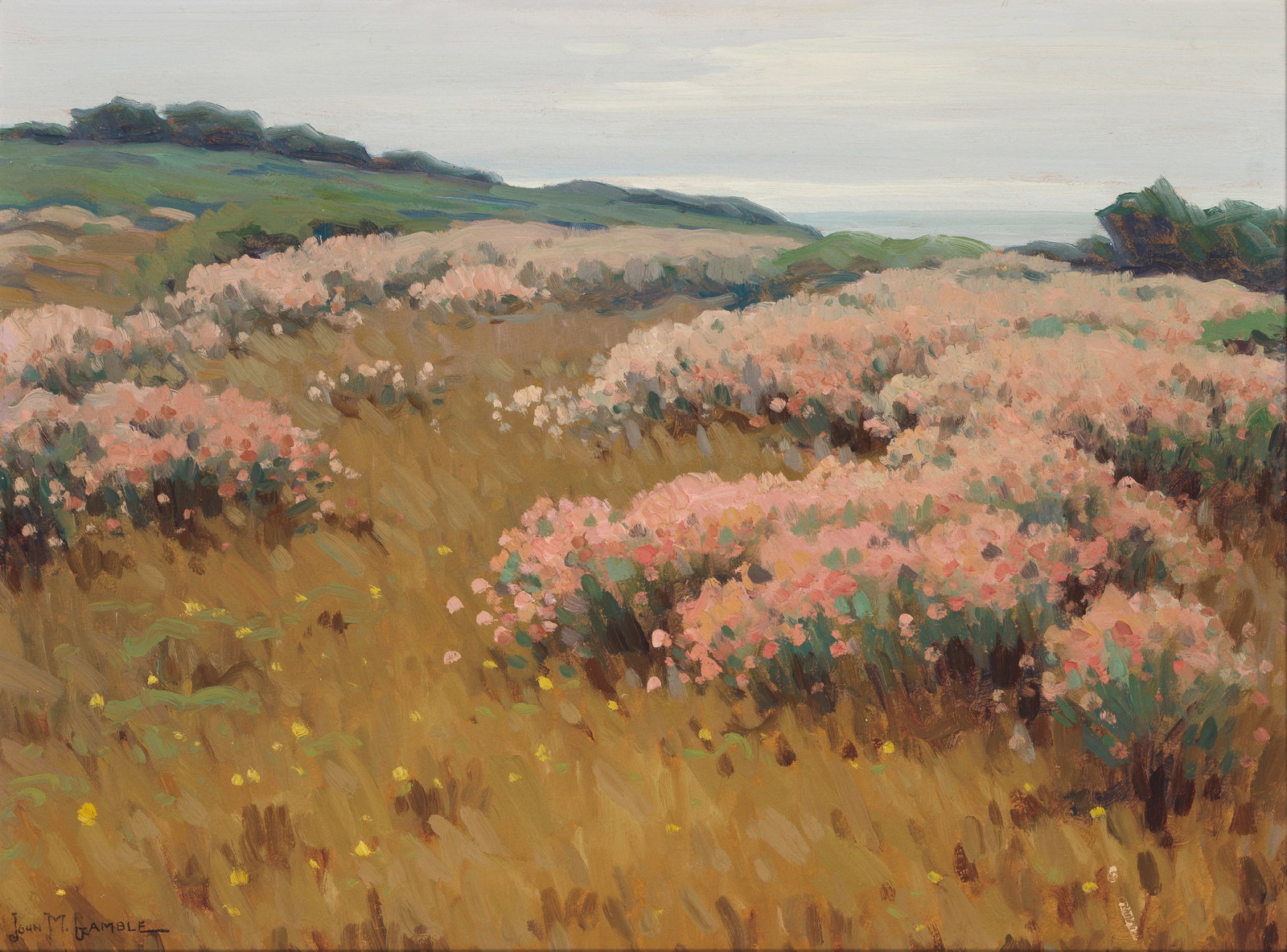 JOHN MARSHALL GAMBLE (1863-1957) Wild Buckwheat (Near Monterey) 18 x 24 in. (1 of 1)