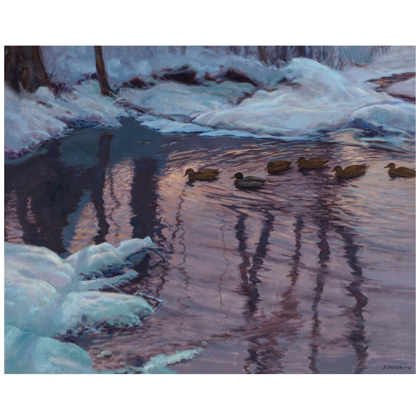 RANDAL M. DUTRA (BORN 1958) Winter Mallards 24 x 30 in.: RANDAL M. DUTRA (BORN 1958) Winter Mallards signed 'R. Dutra ©' (lower right) and signed again (on the backing) oil on linen 24 x 30 in. Footnotes: Provenance National Cowboy Hall of Fame