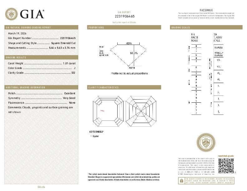 LOOSE DIAMOND WITH GIA REPORT - 2