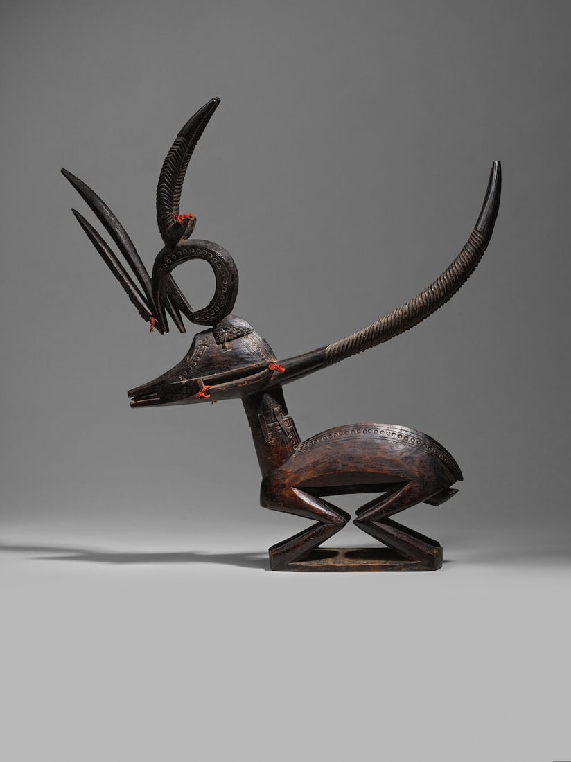 CIMIER CI WARA BAMANA, MALI - 3