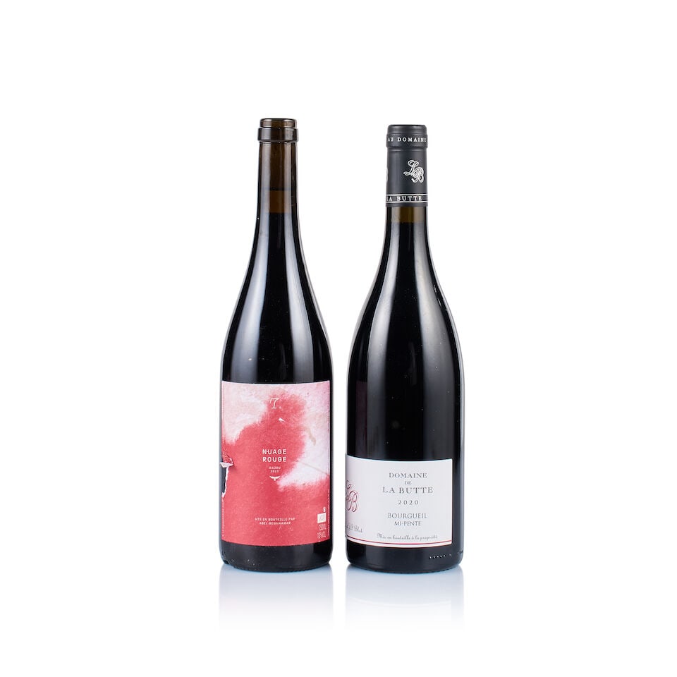 Mixed Lot of Loire Valley Red, 2020 & 2023 (2 x 750ml) (1 of 3)
