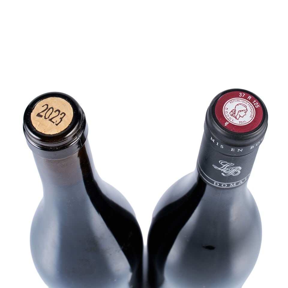 Mixed Lot of Loire Valley Red, 2020 & 2023 (2 x 750ml) - 2