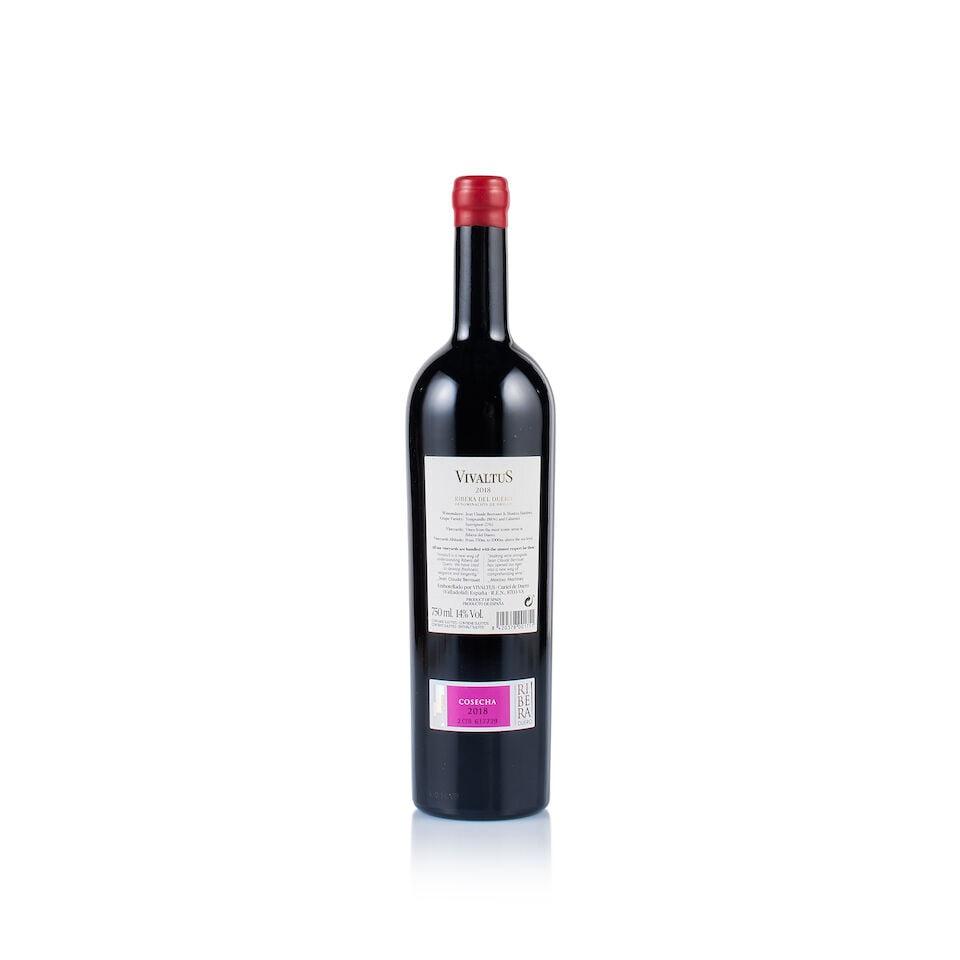 Bodega Vivaltus, Ribera del Duero, 2018 (1 x 750ml) - 3