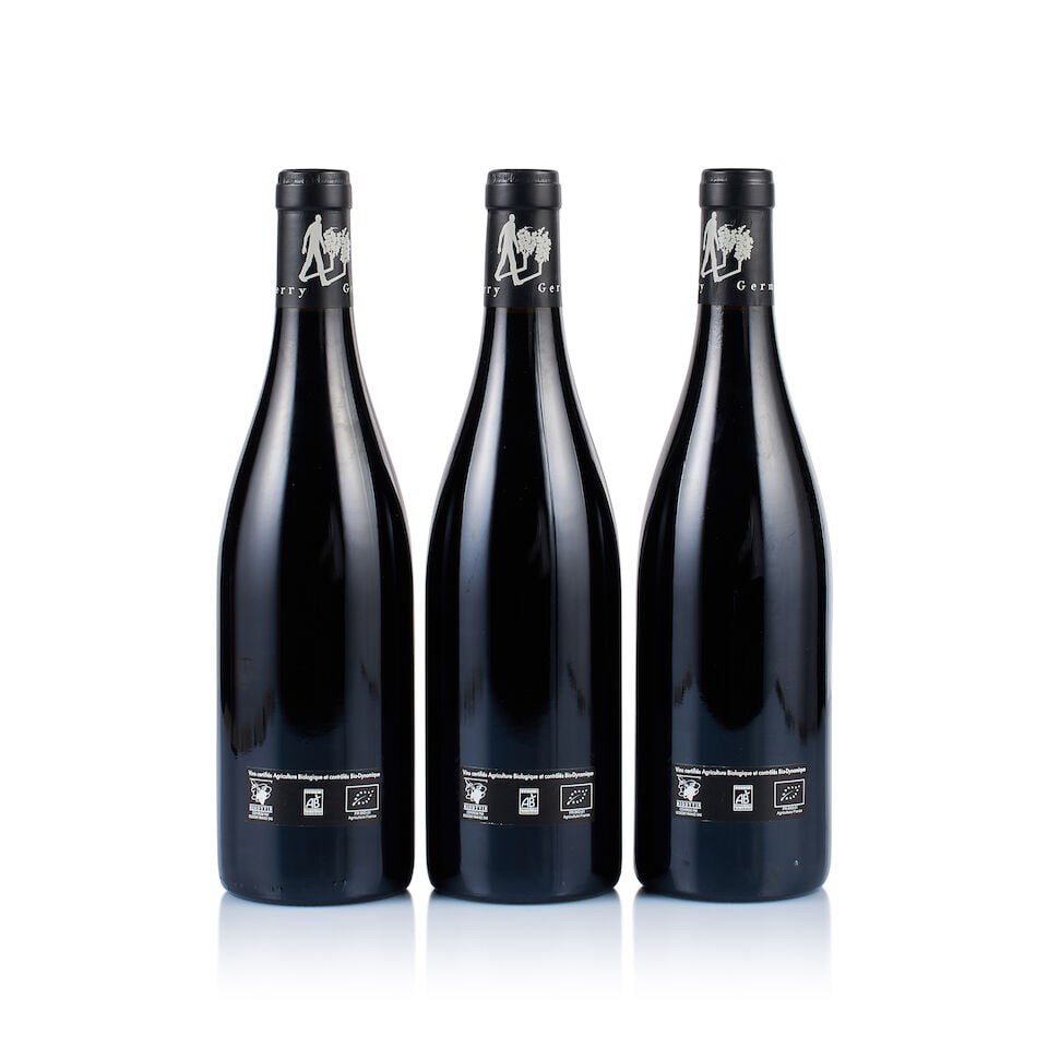 Domaine des Roches Neuves, Saumur-Champigny, Terres Chaudes, 2021 (21 x 750ml) - 10