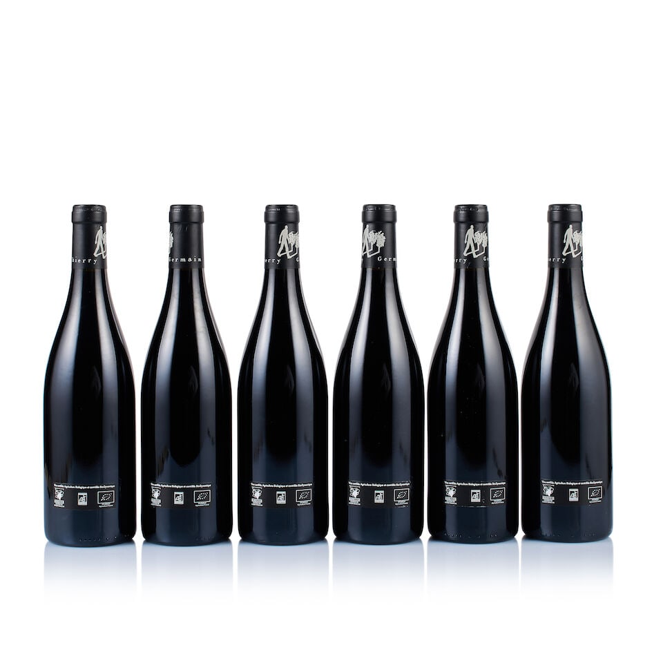 Domaine des Roches Neuves, Saumur-Champigny, Terres Chaudes, 2021 (21 x 750ml) - 4
