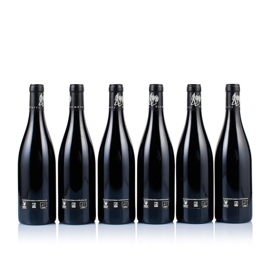 Domaine des Roches Neuves, Saumur-Champigny, Terres Chaudes, 2021 (21 x 750ml) - 5
