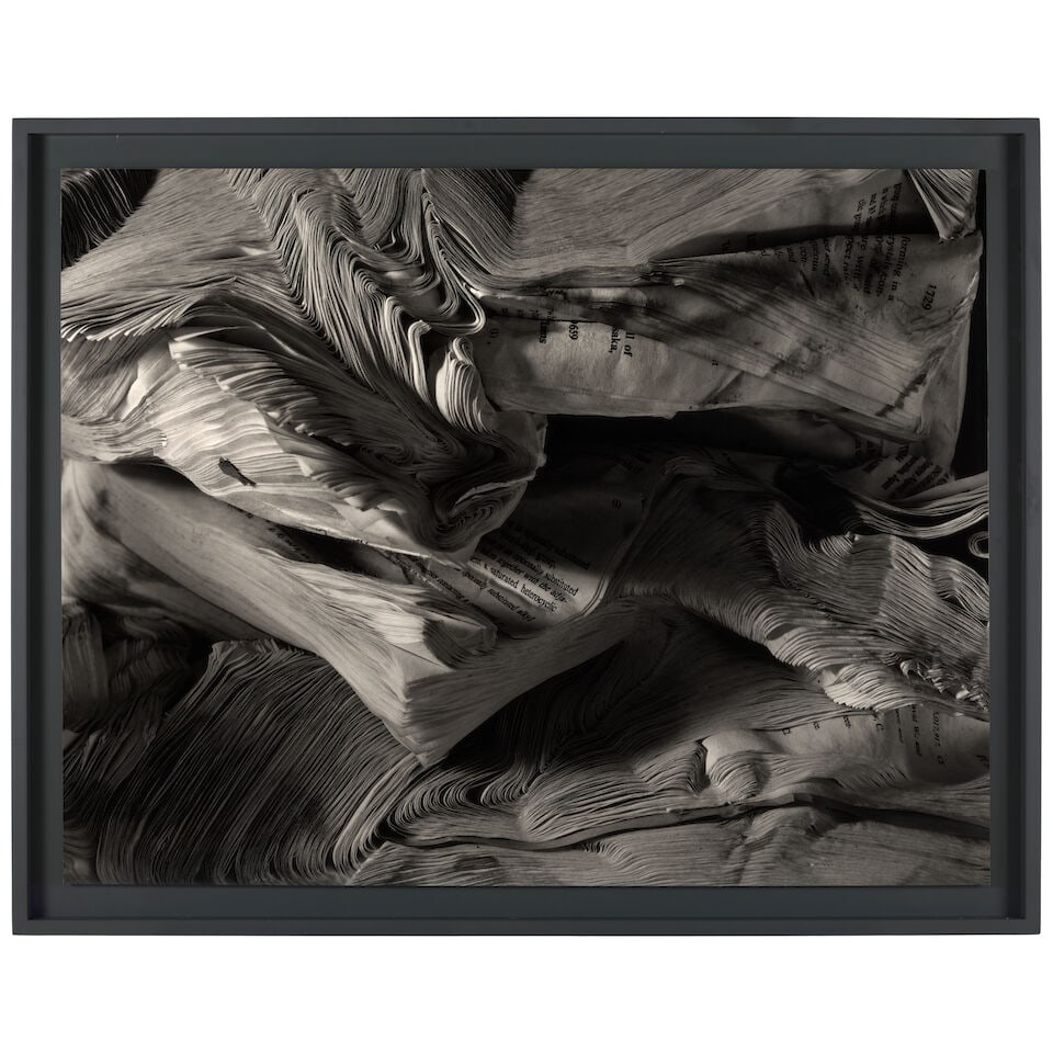 Abelardo Morell (born 1948); 'Detail of Book Damaged by Water' (from 'Books'); - 2