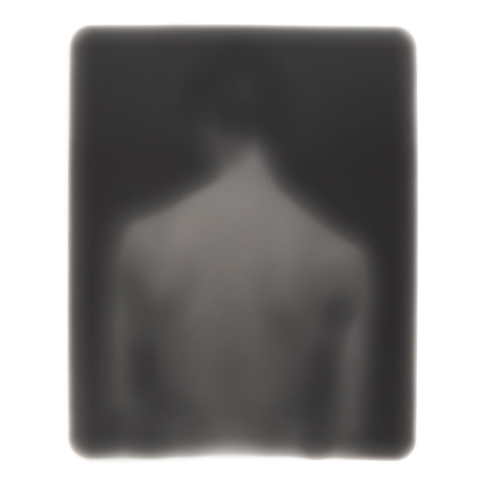 Bill Jacobson (born 1955); 'Song of Sentient Beings #1530';: Bill Jacobson (born 1955) 'Song of Sentient Beings #1530', 1995 Oversized gelatin silver print; flush-mounted, signed, titled, dated, inscribed, and editioned 'Printer's Proof' in pencil on the revers