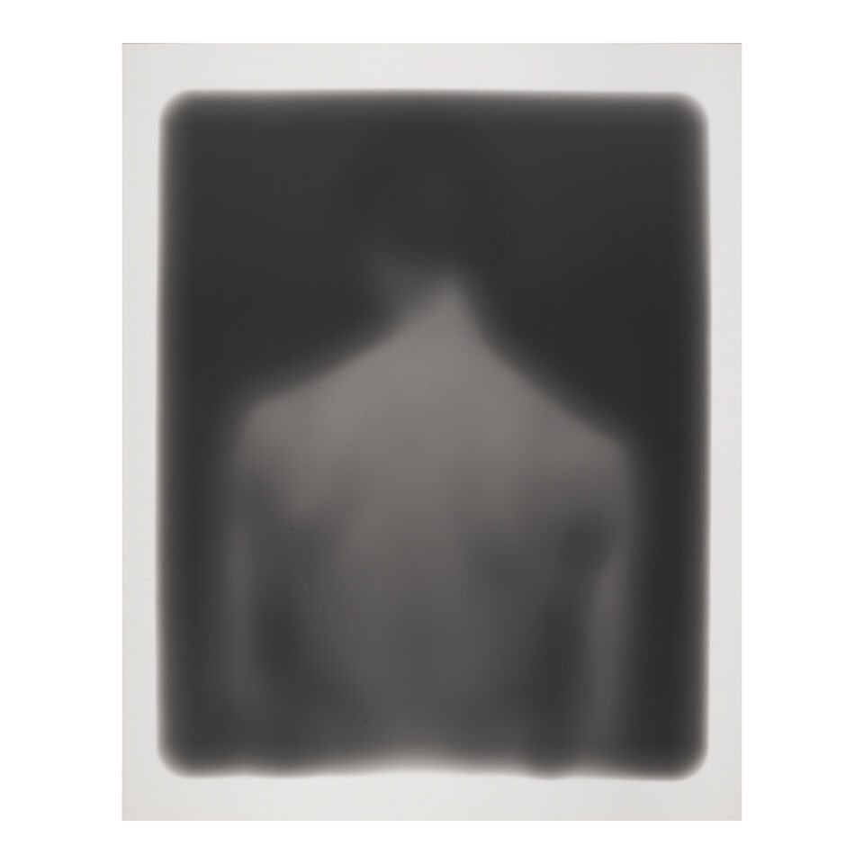 Bill Jacobson (born 1955); 'Song of Sentient Beings #1530'; - 2