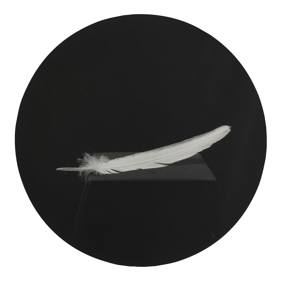 J. John Priola (born 1960); 'Feather' (from 'Paradise');: J. John Priola (born 1960) 'Feather' (from 'Paradise'), 1993 Gelatin silver print; signed in ink on the reverse, framed to the artist's specifications, signed, titled, dated, and editioned '2/9' in