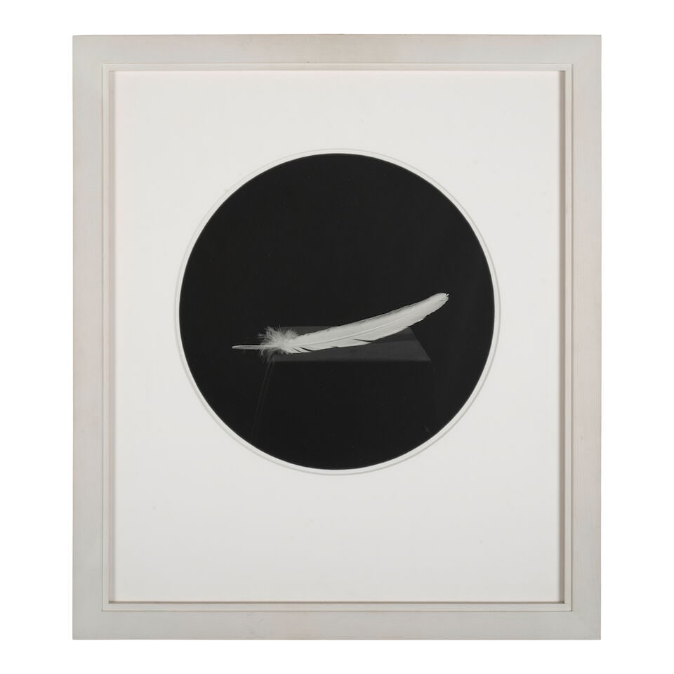 J. John Priola (born 1960); 'Feather' (from 'Paradise'); - 2