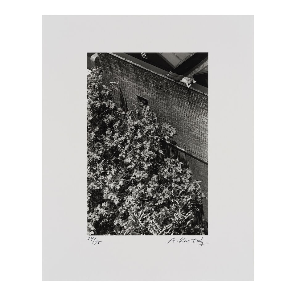 André Kertész (1894-1985); New York City, July 10 (from the portfolio 'Ten Photographe... - 2