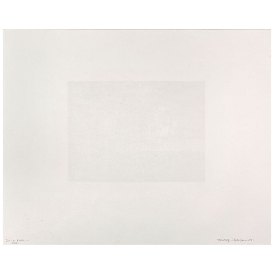 Paul Caponigro (1932-2024); Standing White Deer, Ireland; - 3